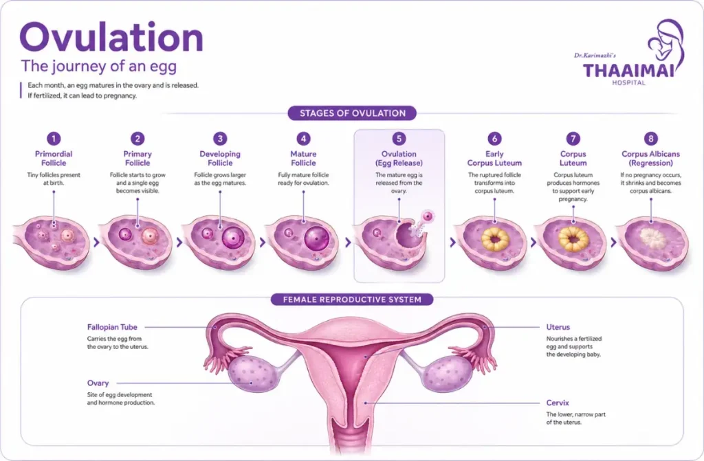 Signs of infertility in women