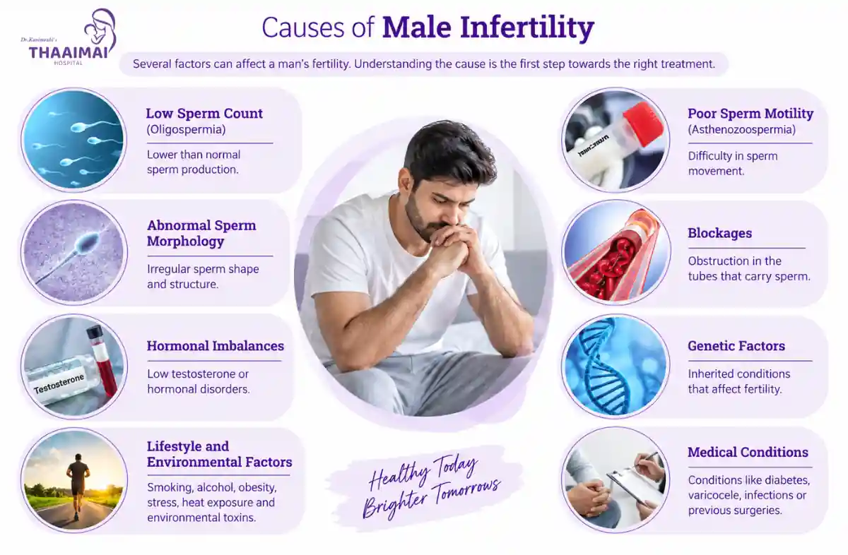 Male Infertility Conditions in Alwarpet