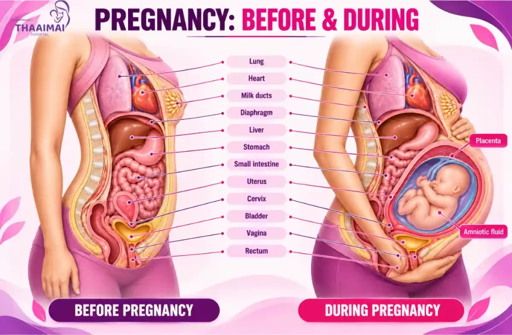 Best Maternity Hospital in Chennai